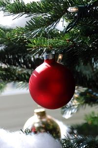 Preview wallpaper christmas decorations, ball, needle, branch, close-up