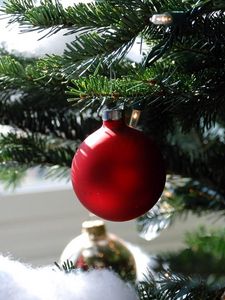 Preview wallpaper christmas decorations, ball, needle, branch, close-up