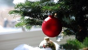 Preview wallpaper christmas decorations, ball, needle, branch, close-up