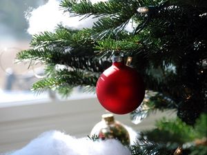 Preview wallpaper christmas decorations, ball, needle, branch, close-up