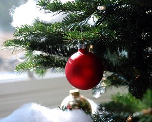 Preview wallpaper christmas decorations, ball, needle, branch, close-up