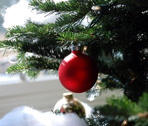 Preview wallpaper christmas decorations, ball, needle, branch, close-up