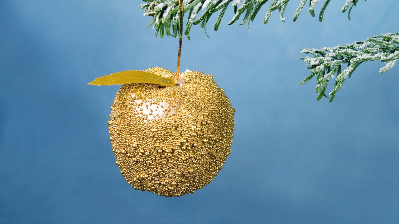 Wallpaper christmas, new year, apple, branch, ornament, fur-tree, snow, gold