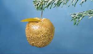 Preview wallpaper christmas, new year, apple, branch, ornament, fur-tree, snow, gold