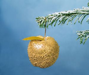 Preview wallpaper christmas, new year, apple, branch, ornament, fur-tree, snow, gold
