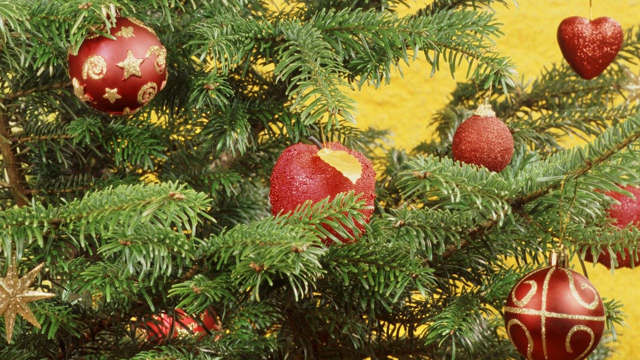 Wallpaper christmas, new year, fur-tree, attribute, spheres, red, ornaments, heart