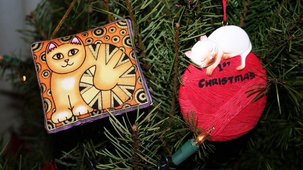 Wallpaper christmas tree, ball, needles, cat, toys, garland