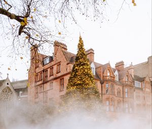Preview wallpaper christmas tree, building, fog, new year, christmas