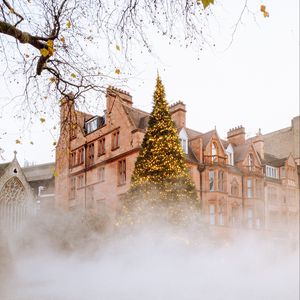 Preview wallpaper christmas tree, building, fog, new year, christmas