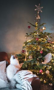 Preview wallpaper christmas tree, cat, decoration, new year, christmas