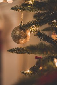 Preview wallpaper christmas tree, christmas decorations, branch, christmas