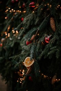 Preview wallpaper christmas tree, cones, orange, decorations, garlands, new year, christmas