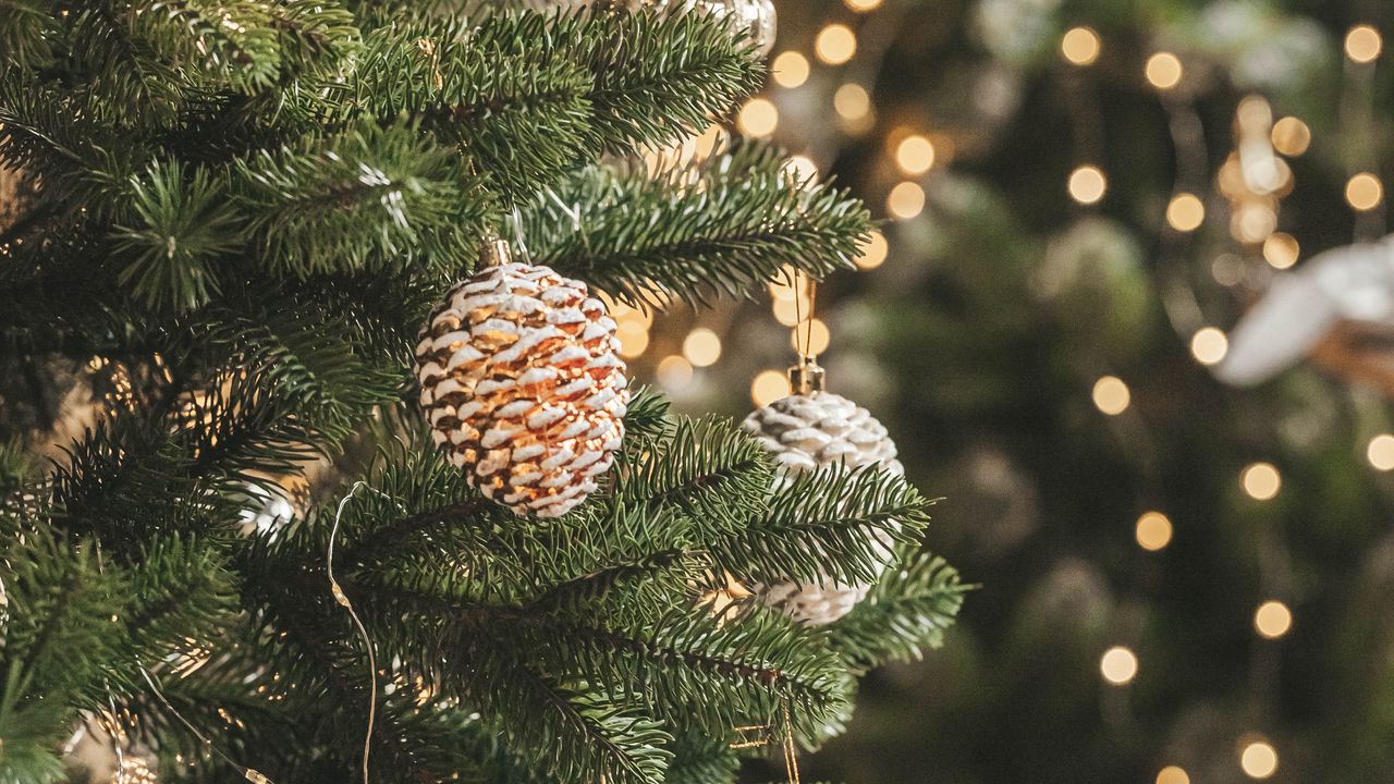 Wallpaper christmas tree, decorations, garlands, christmas, new year, holidays