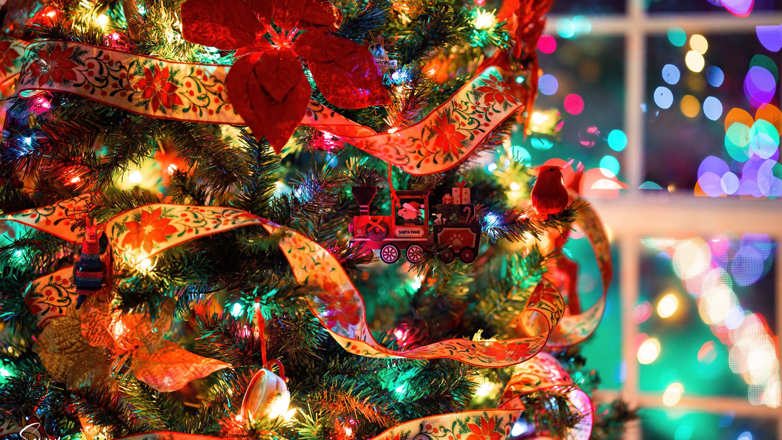 Download wallpaper 2560x1440 christmas tree, decorations, garlands ...