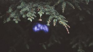 Preview wallpaper christmas tree, fir, branch, dark