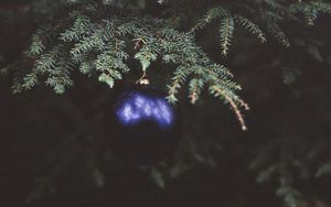 Preview wallpaper christmas tree, fir, branch, dark