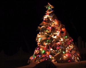 Preview wallpaper christmas tree, garland, snow, street, holiday, christmas, night