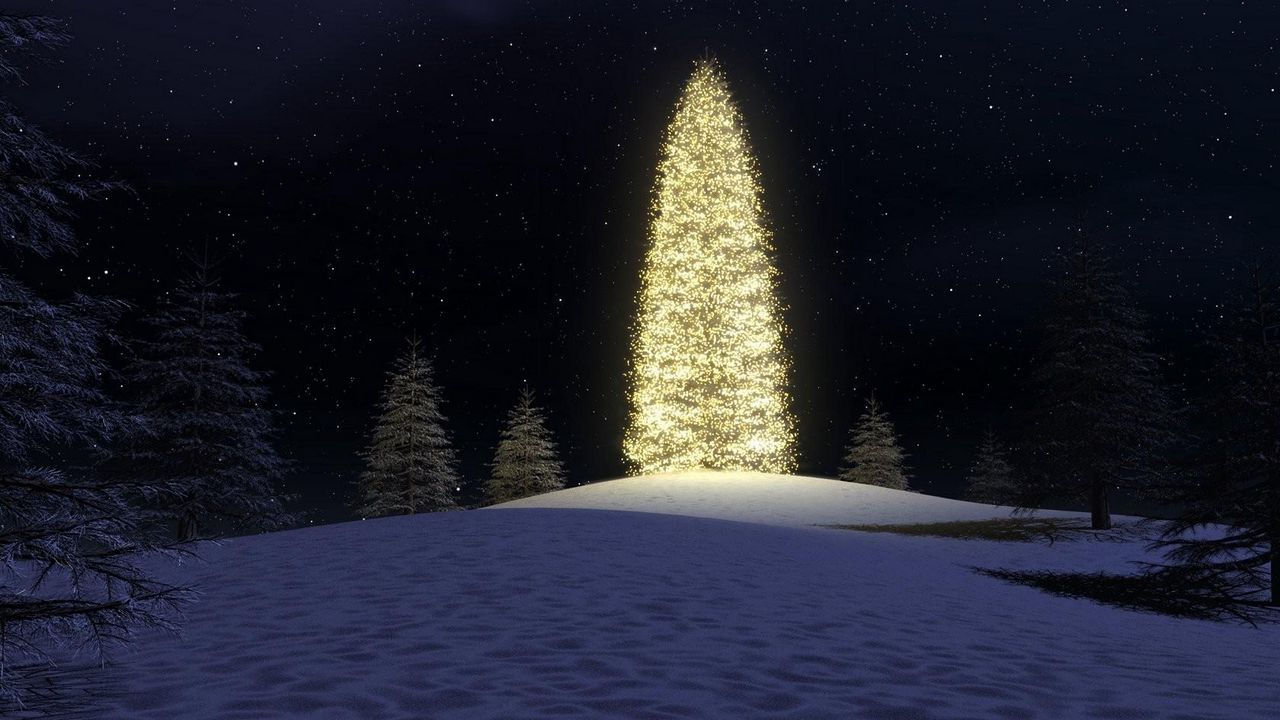 Wallpaper christmas tree, garlands, forest, sky, stars, snow