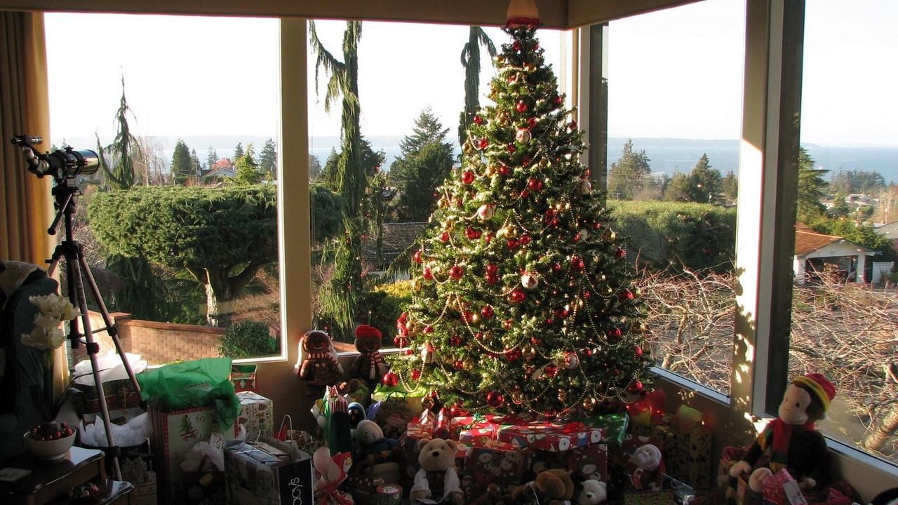 Wallpaper christmas tree, gifts, toys, home, glass, holiday, christmas
