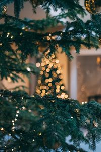 Preview wallpaper christmas tree, new year, christmas, glare, bokeh, branch, spruce
