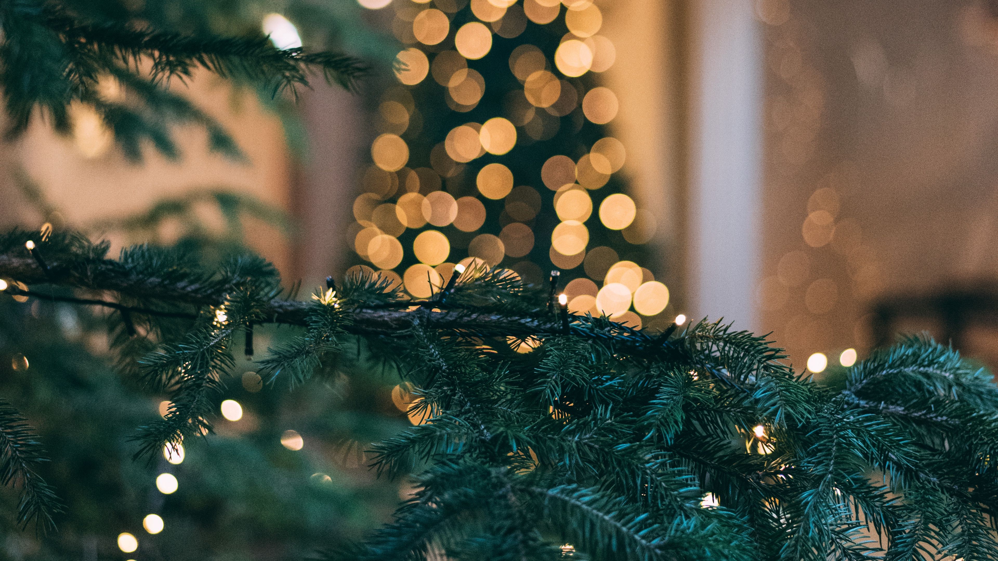 Những hình nền cây thông Giáng Sinh rực rỡ sẽ khiến cho bạn cảm thấy hào hứng và phấn chấn hơn bao giờ hết trong mùa lễ này. Cùng tải về những hình nền đầy màu sắc và sinh động này để tạo cho không gian làm việc của bạn được tràn đầy niềm vui!