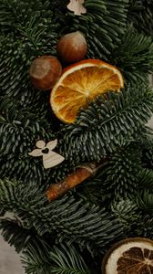 Preview wallpaper christmas tree, oranges, slices, nuts, decorations, new year, christmas