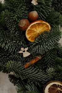 Preview wallpaper christmas tree, oranges, slices, nuts, decorations, new year, christmas