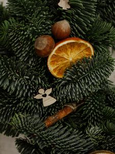 Preview wallpaper christmas tree, oranges, slices, nuts, decorations, new year, christmas