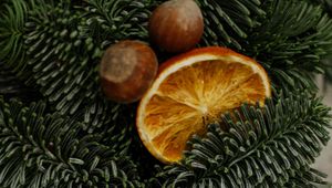 Preview wallpaper christmas tree, oranges, slices, nuts, decorations, new year, christmas