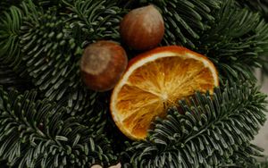 Preview wallpaper christmas tree, oranges, slices, nuts, decorations, new year, christmas
