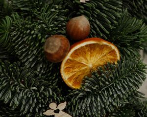 Preview wallpaper christmas tree, oranges, slices, nuts, decorations, new year, christmas