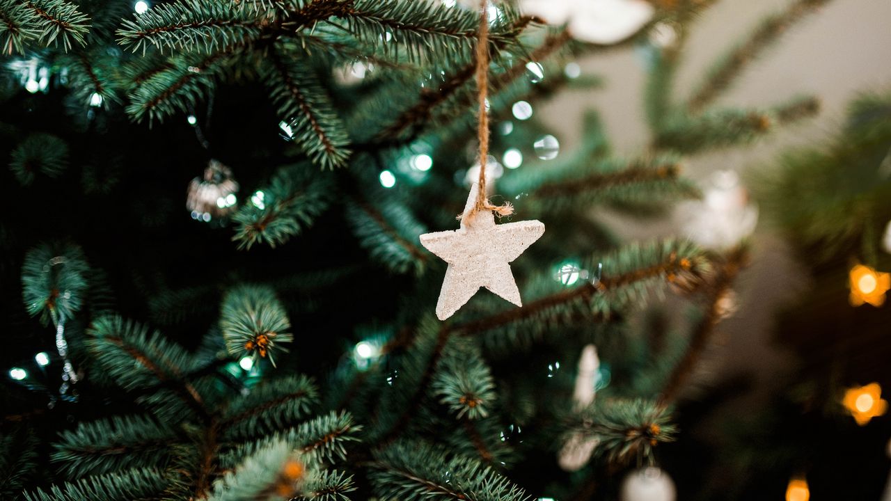 Wallpaper christmas tree, star, decoration, new year, christmas