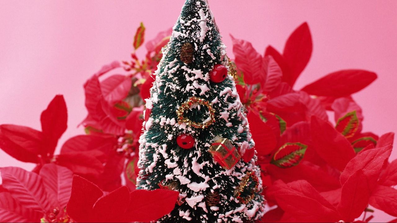 Wallpaper christmas tree, toy, snow, flowers