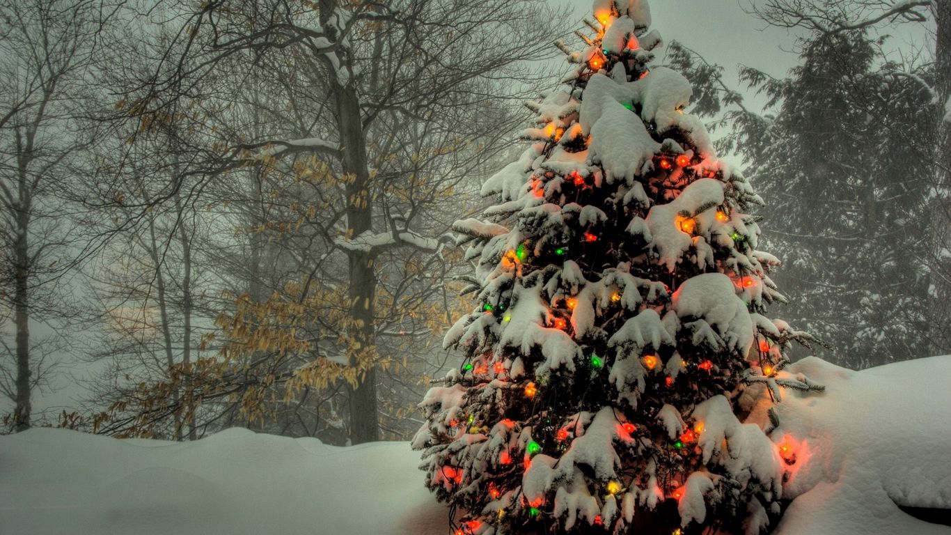 Cây thông Giáng Sinh là biểu tượng không thể thiếu trong mùa lễ hội này, và hình nền với chủ đề này sẽ khiến cho chúng ta không khỏi háo hức chờ đón ngày Giáng Sinh đến.