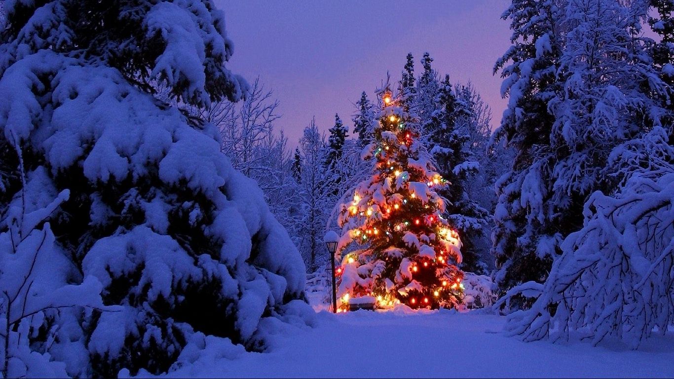 Hình ảnh trang trí cây thông, đèn led, đường phố tuyết phủ trong công viên này sẽ mang đến cho bạn một cảm giác thật tuyệt vời của mùa Giáng sinh. Hãy dành thời gian ngắm nhìn các hình ảnh và nhìn thấy một phần nhỏ của kỳ nghỉ đầy thú vị trong những bức hình này.