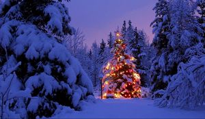 Preview wallpaper christmas trees, garland, snow, park, party, new year