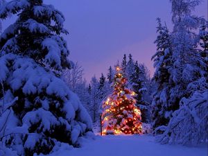 Preview wallpaper christmas trees, garland, snow, park, party, new year