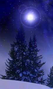Preview wallpaper christmas trees, snow, winter, midnight, blizzard