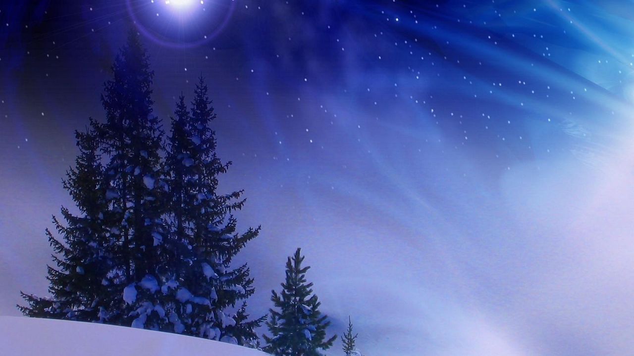 Wallpaper christmas trees, snow, winter, midnight, blizzard hd, picture