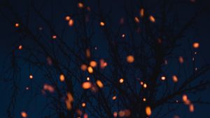 Preview wallpaper chronicle, branches, lights, dark