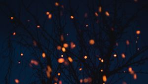 Preview wallpaper chronicle, branches, lights, dark