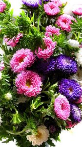 Preview wallpaper chrysanthemum, bouquet, bright, colorful