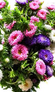 Preview wallpaper chrysanthemum, bouquet, bright, colorful