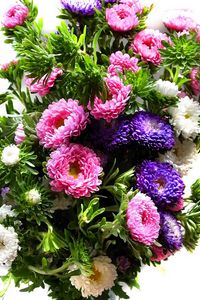 Preview wallpaper chrysanthemum, bouquet, bright, colorful