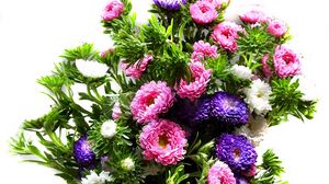 Preview wallpaper chrysanthemum, bouquet, bright, colorful