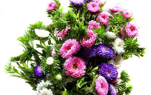 Preview wallpaper chrysanthemum, bouquet, bright, colorful