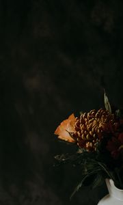 Preview wallpaper chrysanthemum, flower, brown, dark