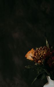 Preview wallpaper chrysanthemum, flower, brown, dark