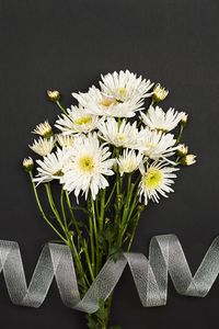 Preview wallpaper chrysanthemum, flowers, bouquet, ribbon, white