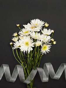 Preview wallpaper chrysanthemum, flowers, bouquet, ribbon, white